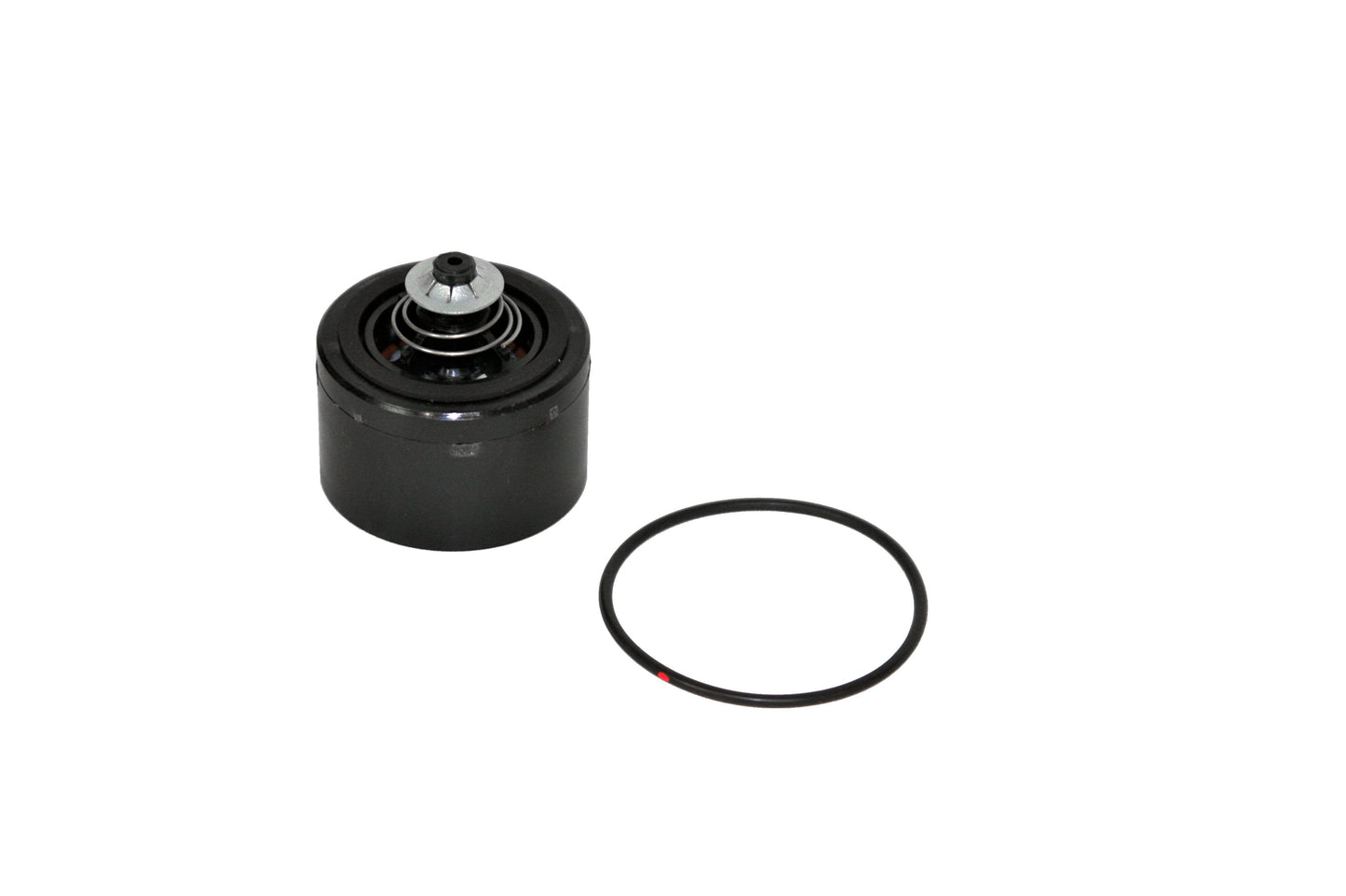 Fill-Rite KIT700CV Check Valve Kit for 700 Series Pumps