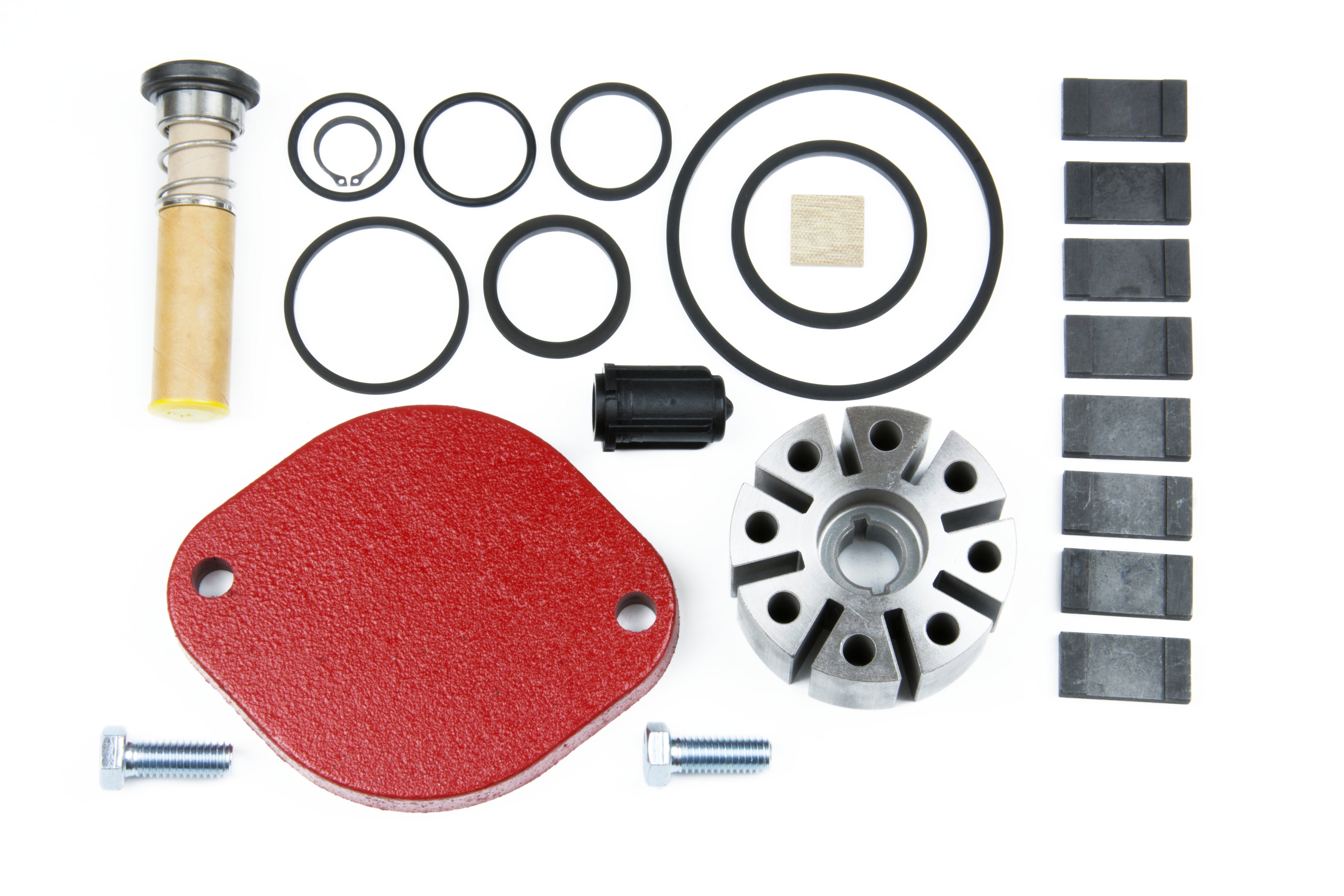 Fill-Rite 700KTF2659 Rebuild Kit for FR700B and FR700V Series Pumps ...