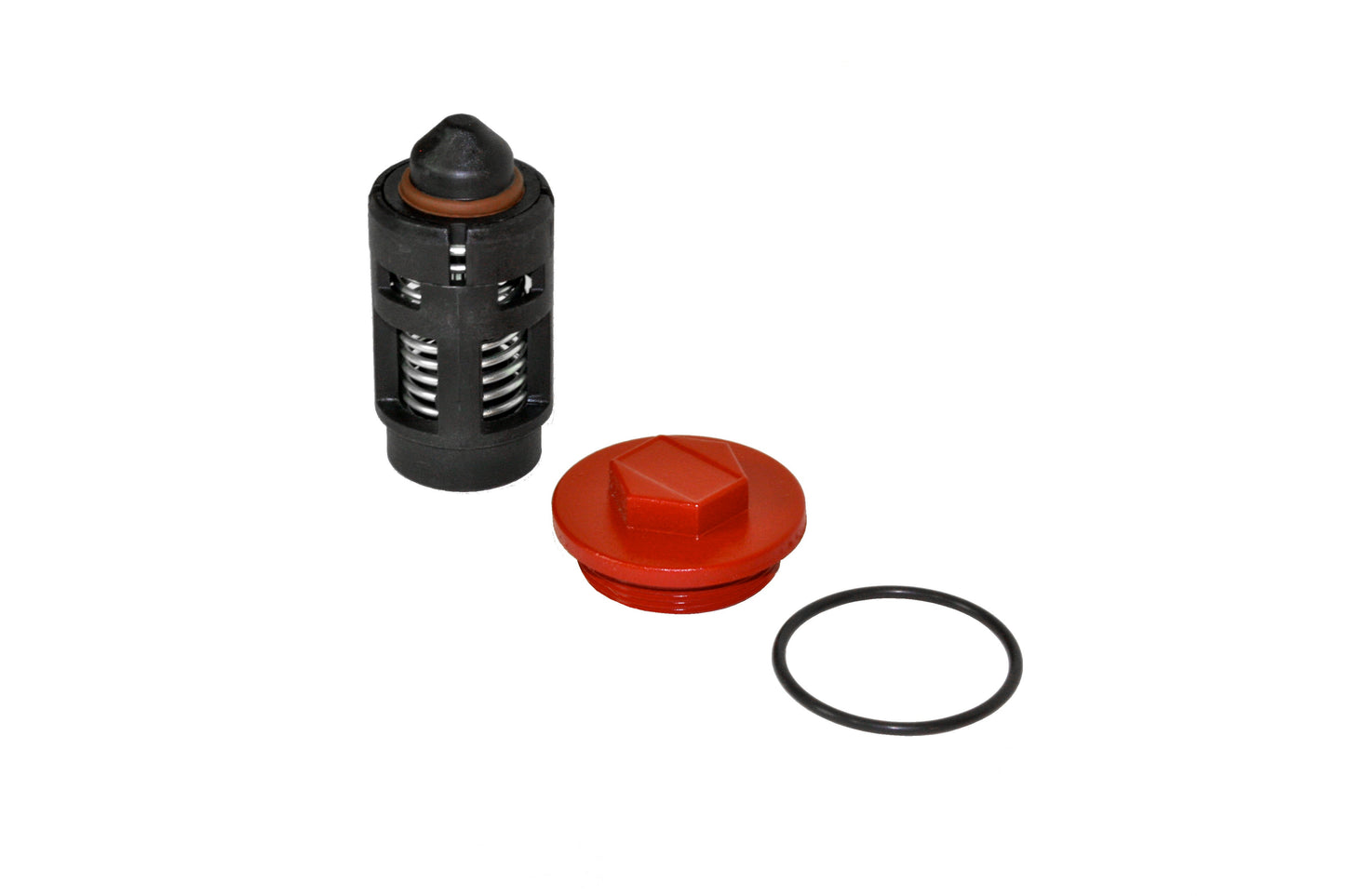 Fill-Rite KIT300BV Replacement Bypass Valve Kit for FR300 Series Pumps