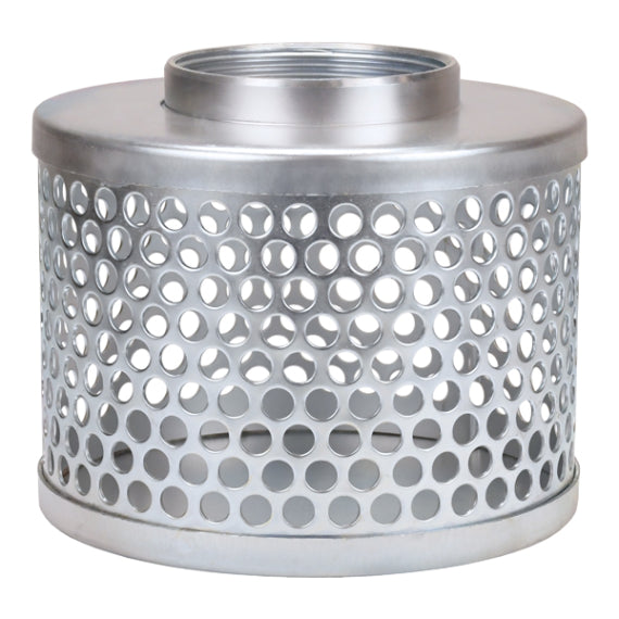 Dixon RHS25 2" Standard Strainer Steel